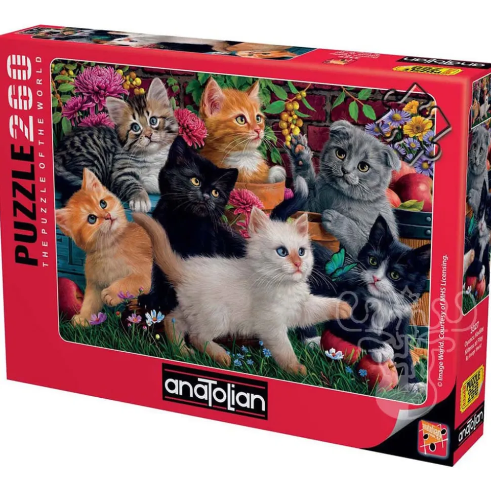 Anatolian Kittens at Play Puzzle 260pcs