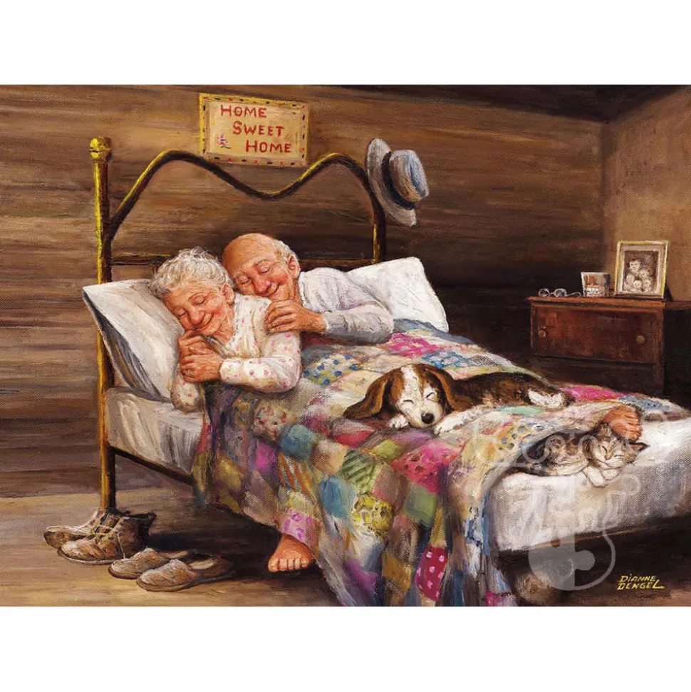 Anatolian No Place Like Home Puzzle 500pcs