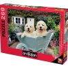 Anatolian Puppies in a Wheelbarrow Puzzle 260pcs