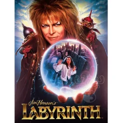 Aquarius Labyrinth Puzzle 500pcs
