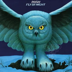 Aquarius RockSaw Rush Fly By Night Puzzle 500pcs