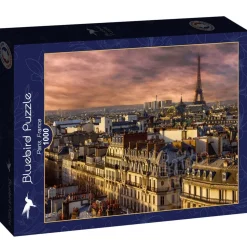 Bluebird Paris, France Puzzle 1000pcs