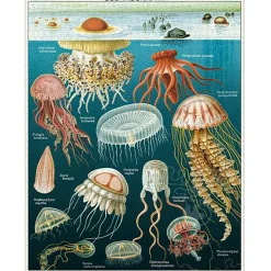 Cavallini Vintage: Jellyfish Puzzle 1000pcs