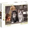Clementoni Lovely Kittens Puzzle 1000pcs - ORIGINAL BOX SIZE