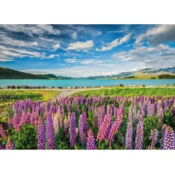 Clementoni Lupins At Lake Tekapoh Puzzle 1500pcs