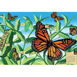 Cobble Hill Life Cycle of a Monarch Butterfly Floor Puzzle 48pcs