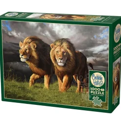 Cobble Hill Approaching Storm Puzzle 1000pcs