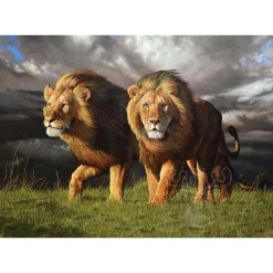 Cobble Hill Approaching Storm Puzzle 1000pcs