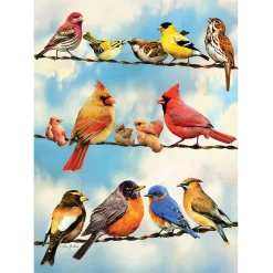 Cobble Hill Birds on a Wire Puzzle 500pcs