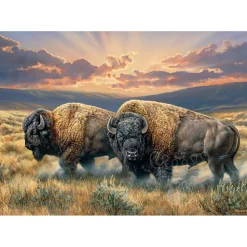 Cobble Hill Dusty Plains Puzzle 1000pcs