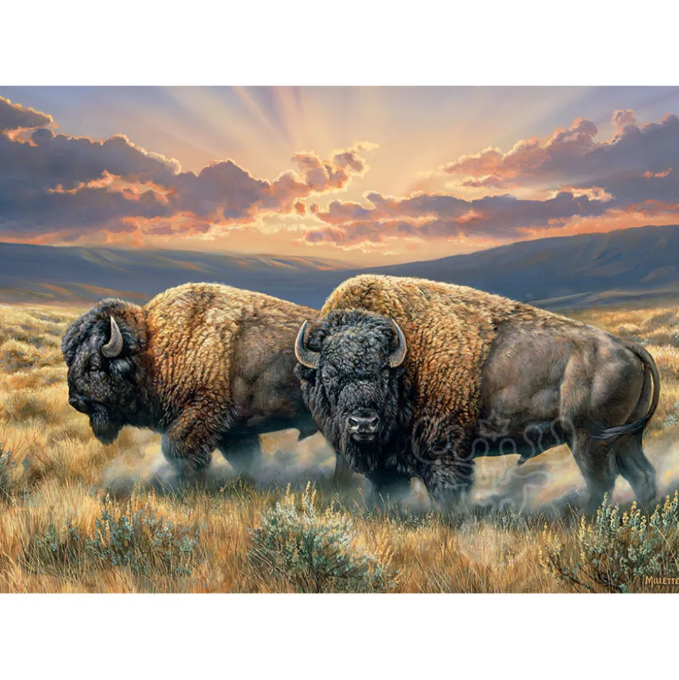 Cobble Hill Dusty Plains Puzzle 1000pcs