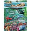 Cobble Hill Life on the Pacific Ocean Tray Puzzle 35pcs