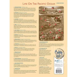 Cobble Hill Life on the Pacific Ocean Tray Puzzle 35pcs