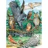 Cobble Hill North American Owls Tray Puzzle 35pcs