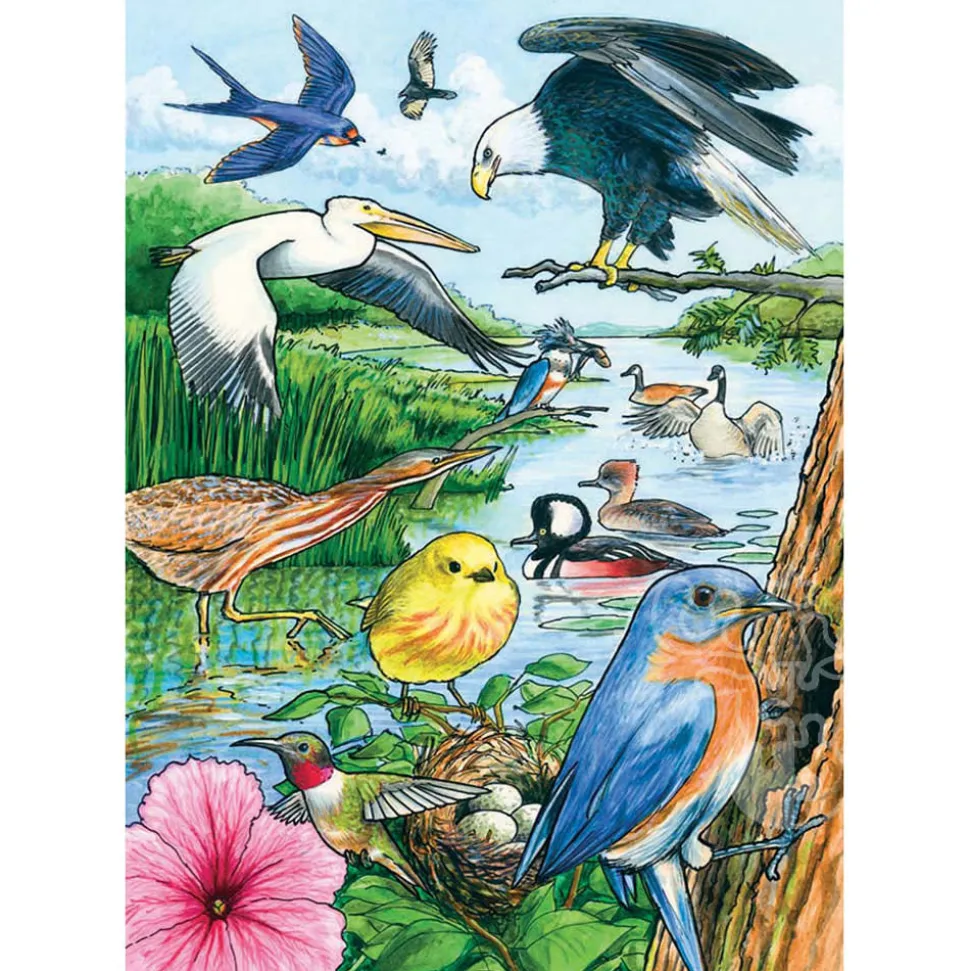 Cobble Hill North American Birds Tray Puzzle 35pcs