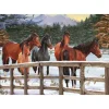 Cobble Hill Snowy Pasture Tray Puzzle 35pcs
