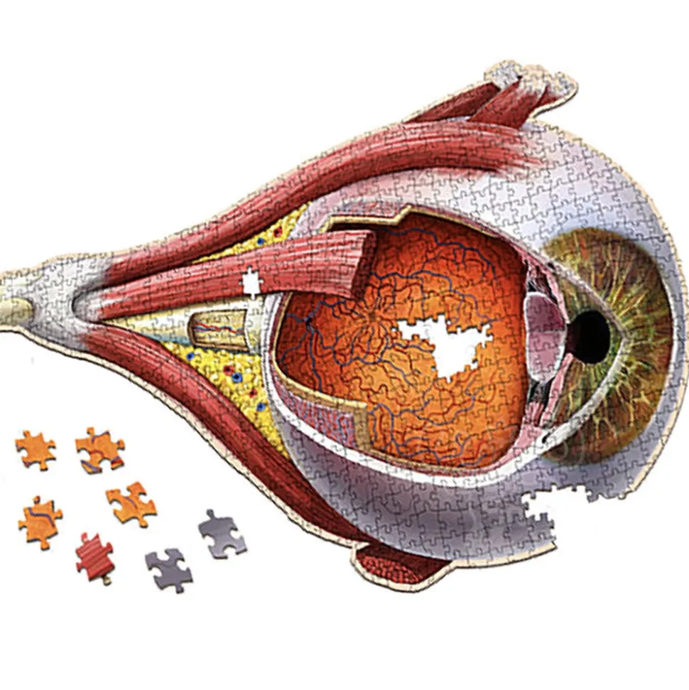Dr. Livingston's Anatomy: The Human Eye Puzzle 544pcs