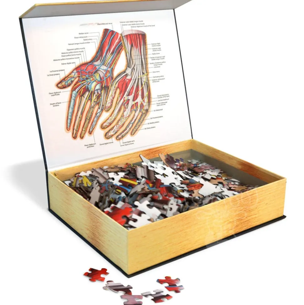 Dr. Livingston's Anatomy: The Human Hands Puzzle 512pcs