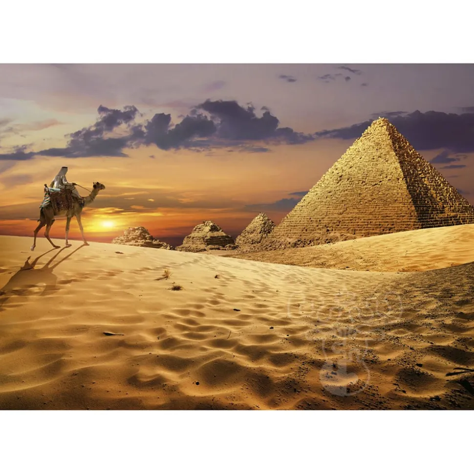 Educa Camel In The Desert Puzzle 1000pcs