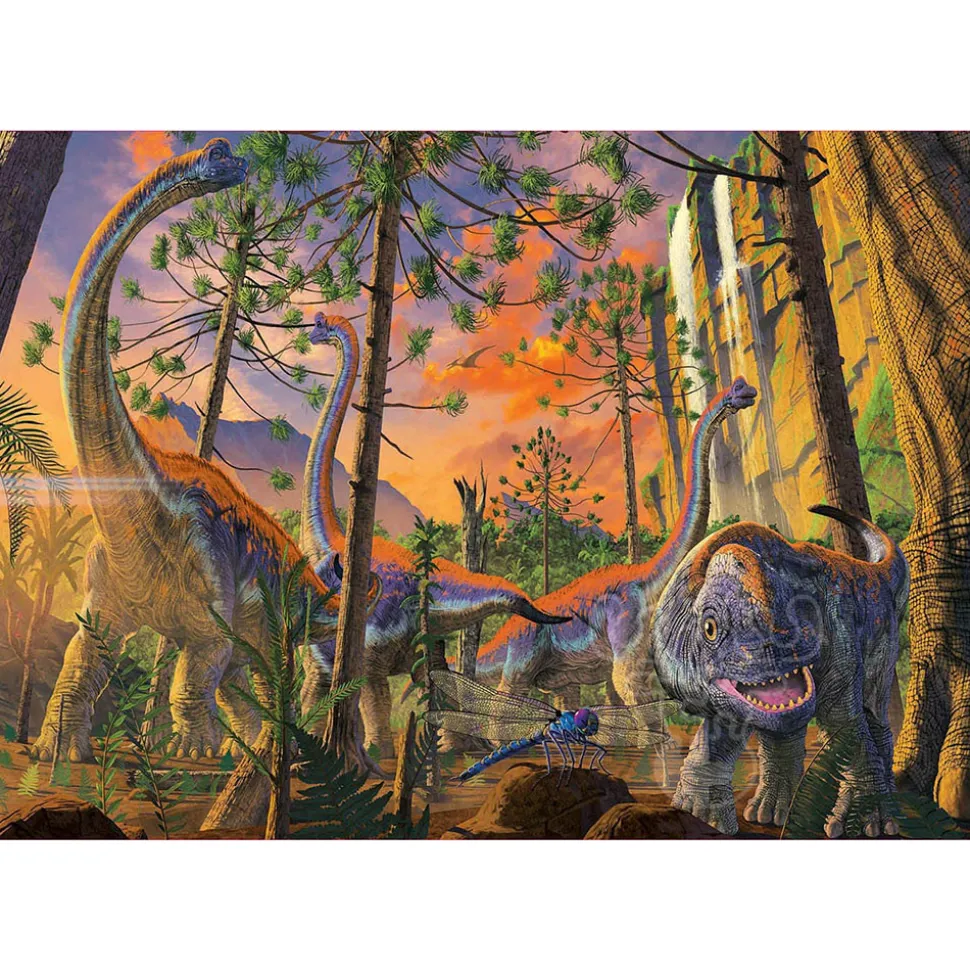 Educa Curious, Vincent Hie Puzzle 500pcs