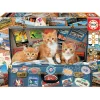 Educa Travelling Kittens Puzzle 200pcs