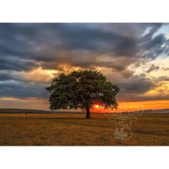 Enjoy Leaves Eclipse Puzzle 1000pcs