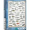 Eurographics Freshwater Fish Puzzle 1000pcs