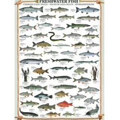 Eurographics Freshwater Fish Puzzle 1000pcs