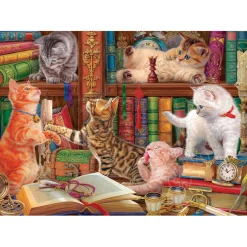 Eurographics Image World: Library Kittens Puzzle 1000pcs