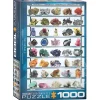 Eurographics Minerals of the World Puzzle 1000pcs