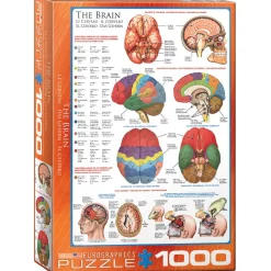 Eurographics The Brain Puzzle 1000pcs