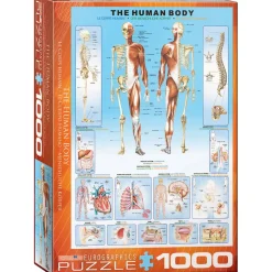 Eurographics The Human Body Puzzle 1000pcs