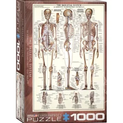 Eurographics The Skeletal System Puzzle 1000pcs