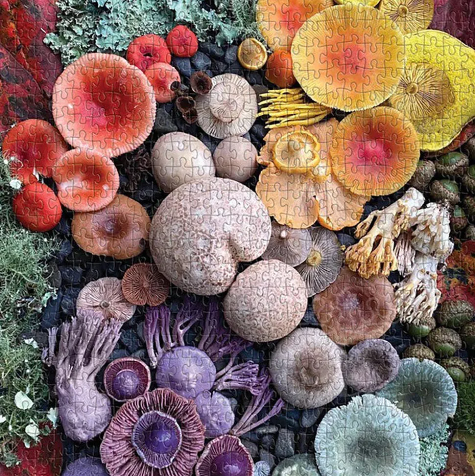 Galison Shrooms in Bloom Puzzle 500pcs