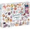 Galison The Beachcomber’s Companion Puzzle 1000pcs contains 20 Shaped Pieces