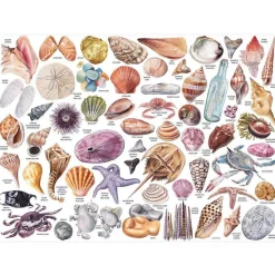 Galison The Beachcomber’s Companion Puzzle 1000pcs contains 20 Shaped Pieces