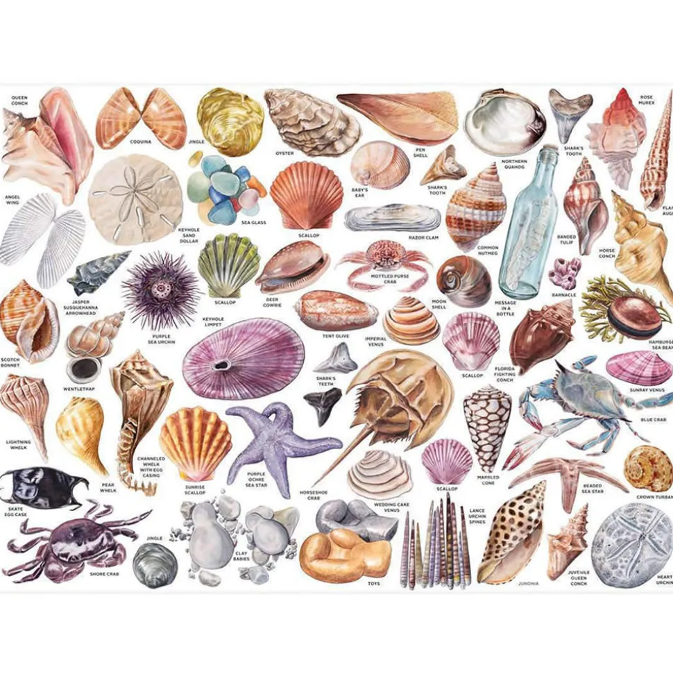 Galison The Beachcomber’s Companion Puzzle 1000pcs contains 20 Shaped Pieces