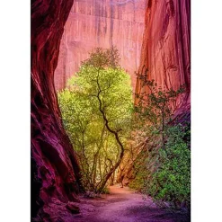 Heye Power of Nature: Singing Canyon Puzzle 1000pcs