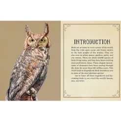 Insight Editions Field Guide to Magnificent Birds Puzzle 500pcs