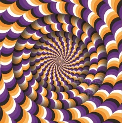 Magnolia Optical Illusion Puzzle 1050pcs