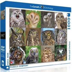 New York Puzzle Co. Cornell Lab: Owls and Owlets Puzzle 1000pcs