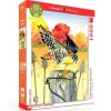New York Puzzle Co. Cornell Lab: American Kestrel Puzzle 1000pcs