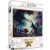 New York Puzzle Co. Harry Potter: Patronus Practice Puzzle 500pcs