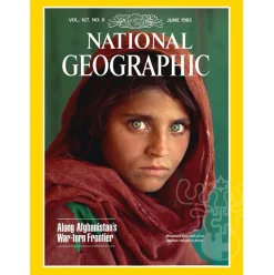 New York Puzzle Co. National Geographic: Haunted Eyes Puzzle 500pcs