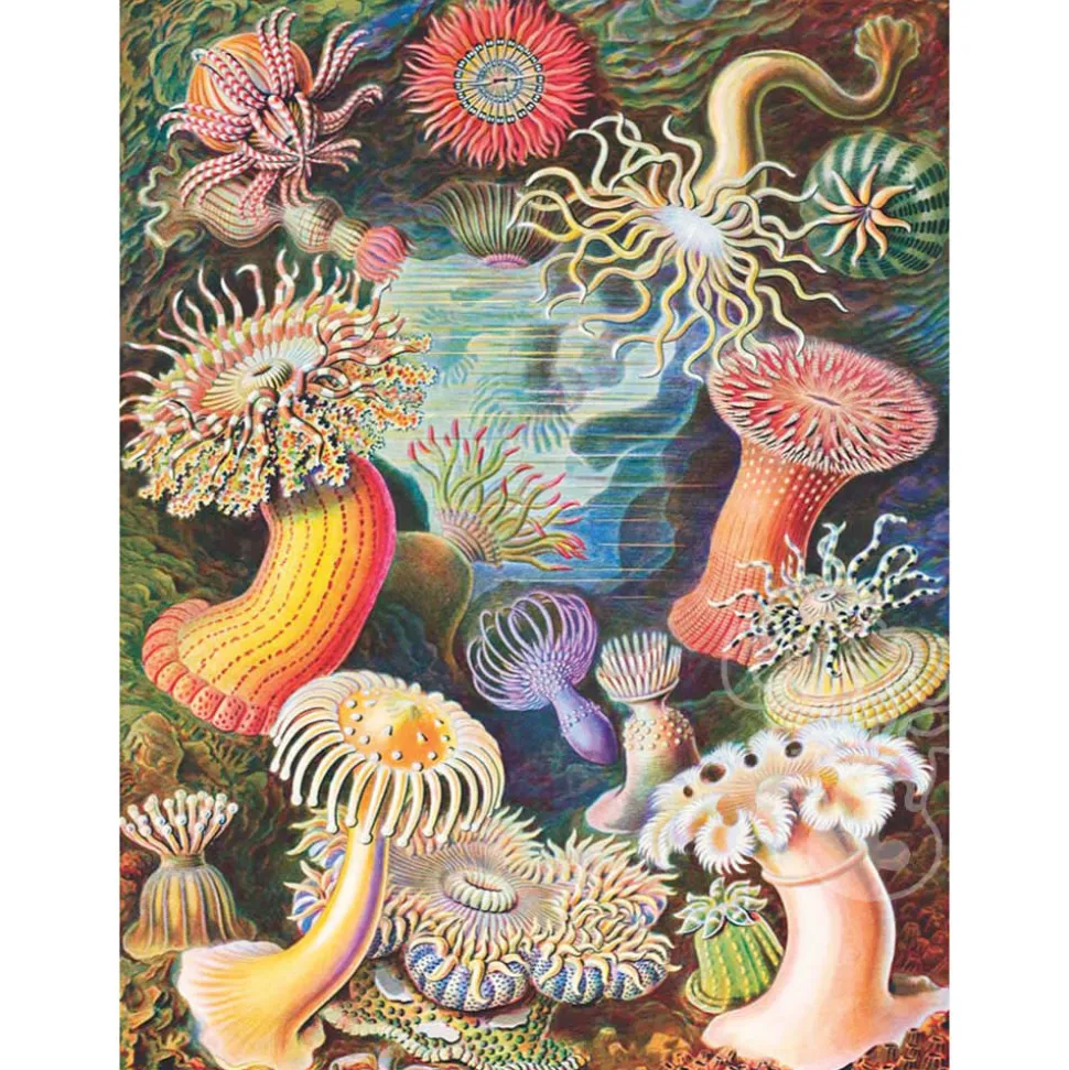 New York Puzzle Co. Vintage Collection: Sea Anemones Puzzle 1000pcs