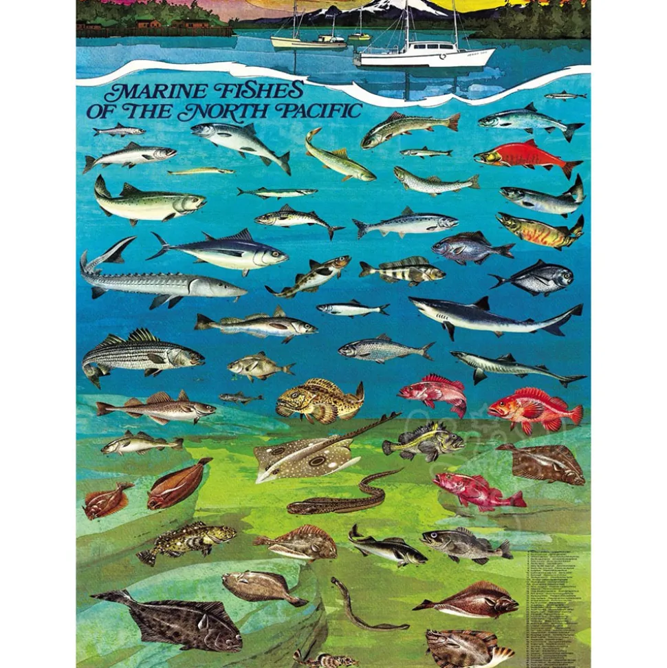 New York Puzzle Co. Vintage Collection: Fishes of the North Pacific Puzzle 1000pcs
