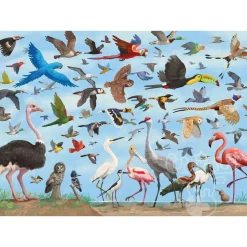 Peter Pauper Press All the Bird Puzzle 1000pcs