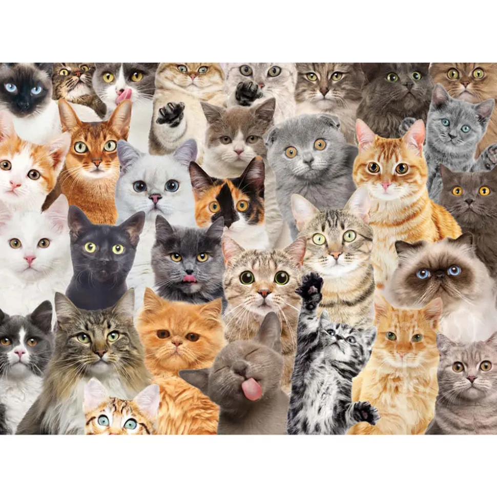 Peter Pauper Press All the Cats Puzzle 1000pcs