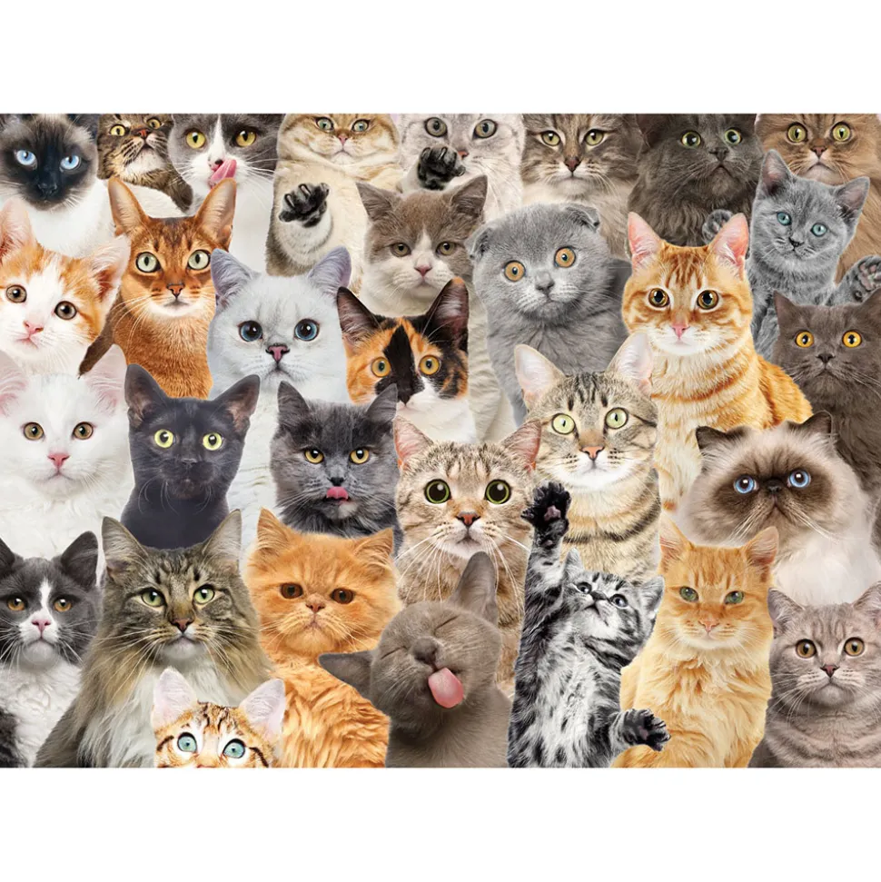 Peter Pauper Press All the Cats Puzzle 500pcs