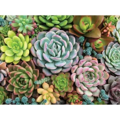 Peter Pauper Press Succulent Garden Puzzle 1000pcs